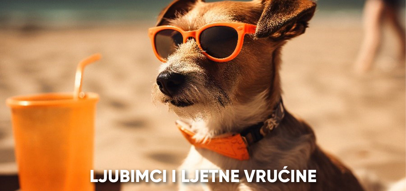 Ljubimci i ljetne vrućine